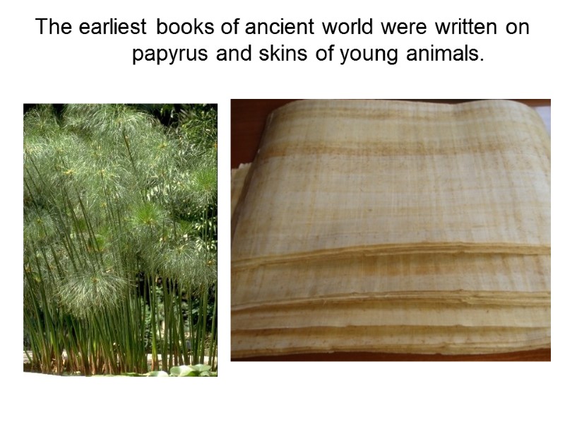 The earliest books of ancient world were written on papyrus and skins of young